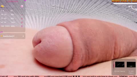 Petra online show from December 2024 06:50:01 PM