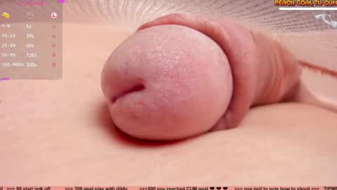 Petra online show from March 2025 06:56:01 PM