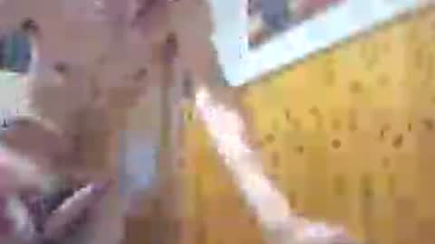 Snapshot of krone1969 chatting on August 2026 02:41:02 PM krone1969 online show from August 2026 02:41:02 PM