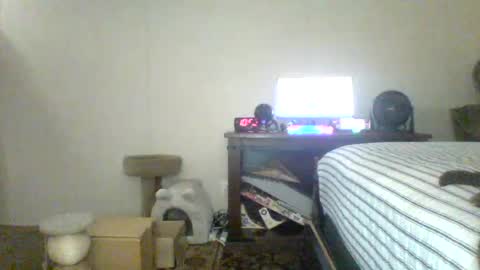 Snapshot of krystalizedkitsune chatting on July 2026 03:56:01 AM krystalizedkitsune online show from July 2026 03:56:01 AM