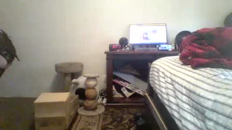 Snapshot of krystalizedkitsune chatting on July 2026 11:29:01 PM krystalizedkitsune online show from July 2026 11:29:01 PM