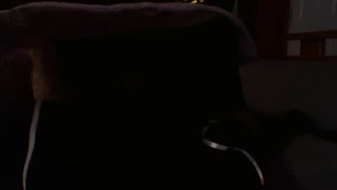 kshies4220 online show from January 2026 05:32:01 AM