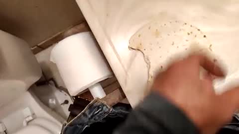 Snapshot of kumnnkevsuks4 chatting on January 2025 08:14:01 PM kumnnkevsuks4 online show from January 2025 08:14:01 PM