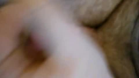 kylegifted online show from May 2026 03:29:01 PM