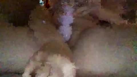 Snapshot of kylie69sm chatting on February 2026 03:06:01 AM kylie online show from February 2026 03:06:01 AM