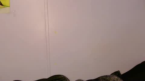 Lily online show from May 2026 09:17:01 AM