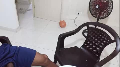 Bruno Smith online show from June 2026 04:14:02 AM