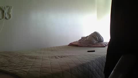 lachickadelbronx online show from January 2025 08:04:02 PM