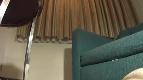 Snapshot of lacub chatting on February 2025 07:17:01 AM lacub online show from February 2025 07:17:01 AM