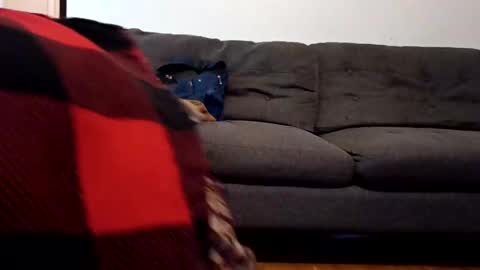 Snapshot of lacybell chatting on February 2025 10:40:01 AM lacybell online show from February 2025 10:40:01 AM