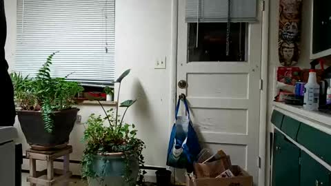 Snapshot of lacybell chatting on February 2025 05:19:02 AM lacybell online show from February 2025 05:19:02 AM