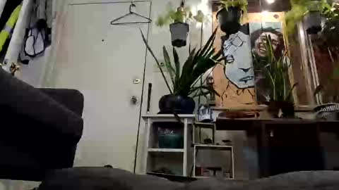 Snapshot of lacybell chatting on February 2025 07:28:02 AM lacybell online show from February 2025 07:28:02 AM