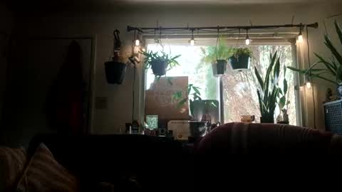 Snapshot of lacybell chatting on September 2025 10:11:01 PM lacybell online show from September 2025 10:11:01 PM