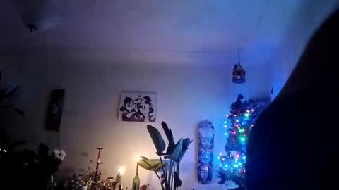 Snapshot of lacybell chatting on December 2025 10:00:02 AM lacybell online show from December 2025 10:00:02 AM