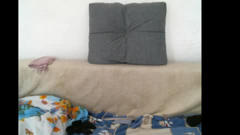 lady cute cat29 online show from May 2026 10:36:01 AM