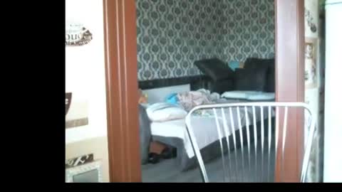 lady cute cat29 online show from June 2026 02:53:02 AM