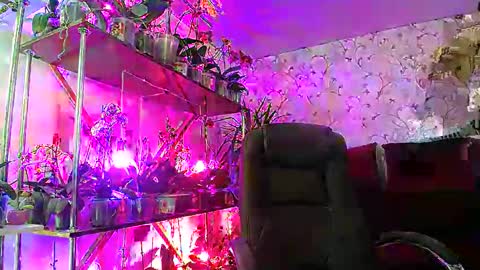 Lady Gloria online show from February 2025 08:40:01 AM