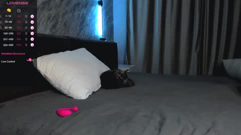 Snapshot of laflamebella chatting on January 2025 01:49:01 PM Bella online show from January 2025 01:49:01 PM