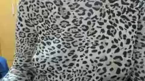 LAILA online show from July 2026 04:16:01 PM