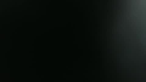 ANNIE online show from January 2026 05:13:02 AM