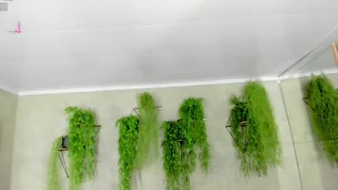 lana_lann online show from January 2025 12:30:02 PM