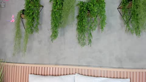 lana_lann online show from January 2025 11:43:02 AM