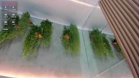 lana_lann online show from September 2025 11:57:01 AM