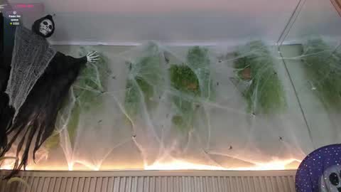 lana_lann online show from October 2025 02:40:02 PM