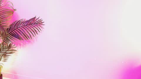 LANA online show from March 2026 03:50:01 AM