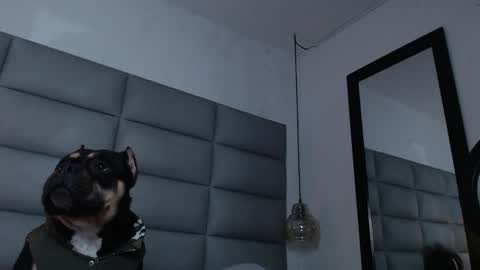 Snapshot of larademon chatting on December 2024 12:00:01 AM lara online show from December 2024 12:00:01 AM