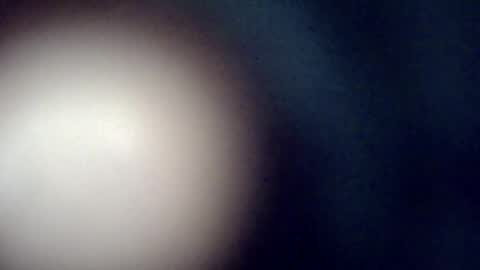 Snapshot of laratonydusud chatting on January 2026 08:23:01 PM laratonydusud online show from January 2026 08:23:01 PM