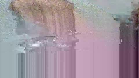 Snapshot of lary0078 chatting on November 2025 04:46:01 PM Lary78 online show from November 2025 04:46:01 PM