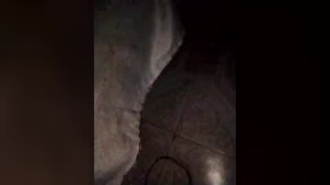 Snapshot of latatina25 chatting on July 2026 11:08:02 AM latatina25 online show from July 2026 11:08:02 AM