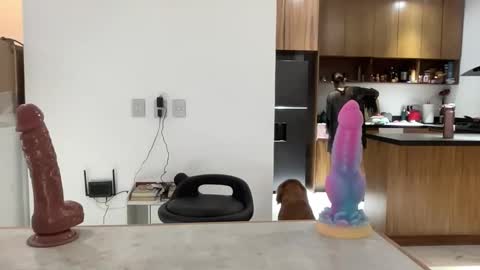 latina_sasha online show from April 2026 02:01:01 AM