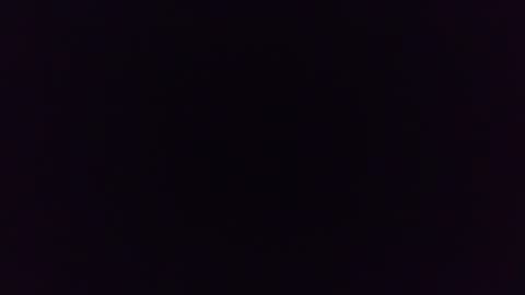 blackBear online show from October 2025 05:10:01 AM