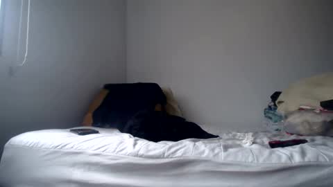 Snapshot of latinndexter chatting on February 2025 08:58:02 PM DEXTER online show from February 2025 08:58:02 PM