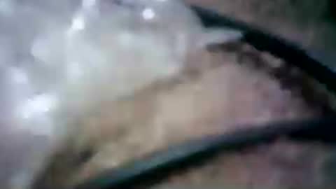 latinounder online show from July 2026 08:45:02 AM