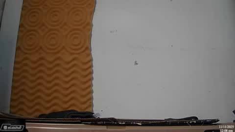 Snapshot of latinstud7 chatting on November 2025 06:08:01 PM Nico online show from November 2025 06:08:01 PM