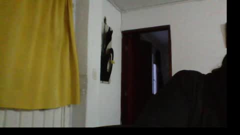 Laura online show from May 2026 11:13:01 PM