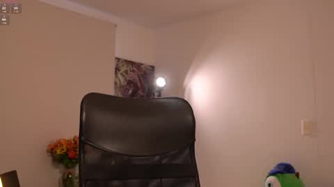 Snapshot of laurita_4 chatting on February 2025 01:05:01 PM laurita_4 online show from February 2025 01:05:01 PM