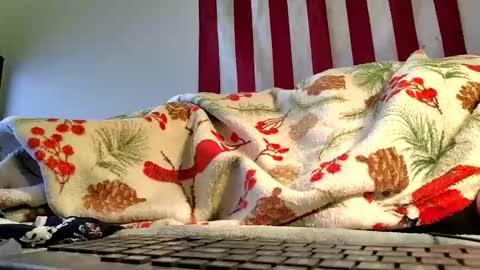 lawerenceingram46 online show from October 2025 04:35:02 AM