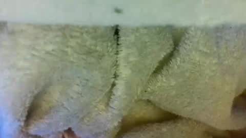 layannalea online show from April 2026 06:30:01 AM