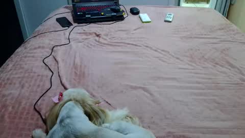 kelly online show from February 2025 11:27:01 PM