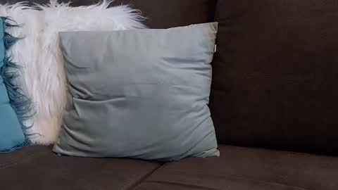 Snapshot of lazlow2000 chatting on January 2026 07:44:01 AM lazlow2000 online show from January 2026 07:44:01 AM