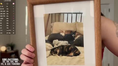 Cece  online show from February 2026 07:42:02 PM