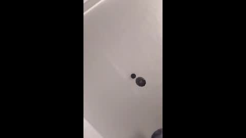 lecimy online show from February 2026 11:25:02 PM