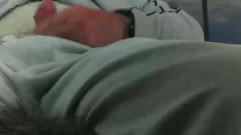 Snapshot of leckfreund53 chatting on October 2025 07:38:02 AM leckfreund53 online show from October 2025 07:38:02 AM