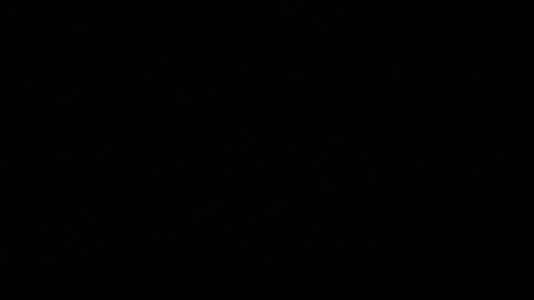 Ebony DeafGuy online show from June 2026 08:12:02 AM