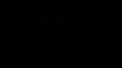 Ebony DeafGuy online show from July 2026 08:09:01 AM
