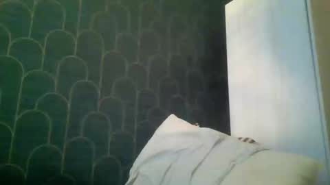 Snapshot of leeuwarder12 chatting on November 2025 07:35:01 PM leeuwarder12 online show from November 2025 07:35:01 PM